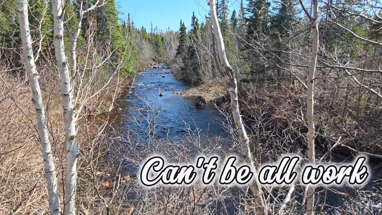 CAN'T BE all work! DIY Lean to Ep. 1, sawmill, chores & OFFROAD; OFF GRID LIFE #newfoundlandlabrador