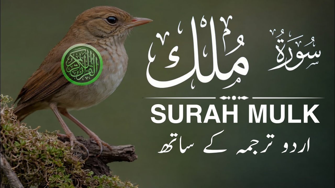 Surah Mulk With Urdu Translation By Qari Mansoor Ghaznawi | Urdu and Hindi Tarjuma I Episode 90