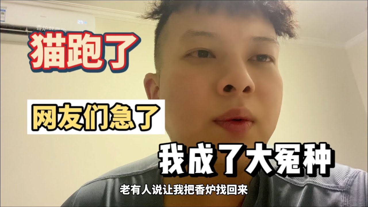 我养大的猫把我甩了还问我要生活费