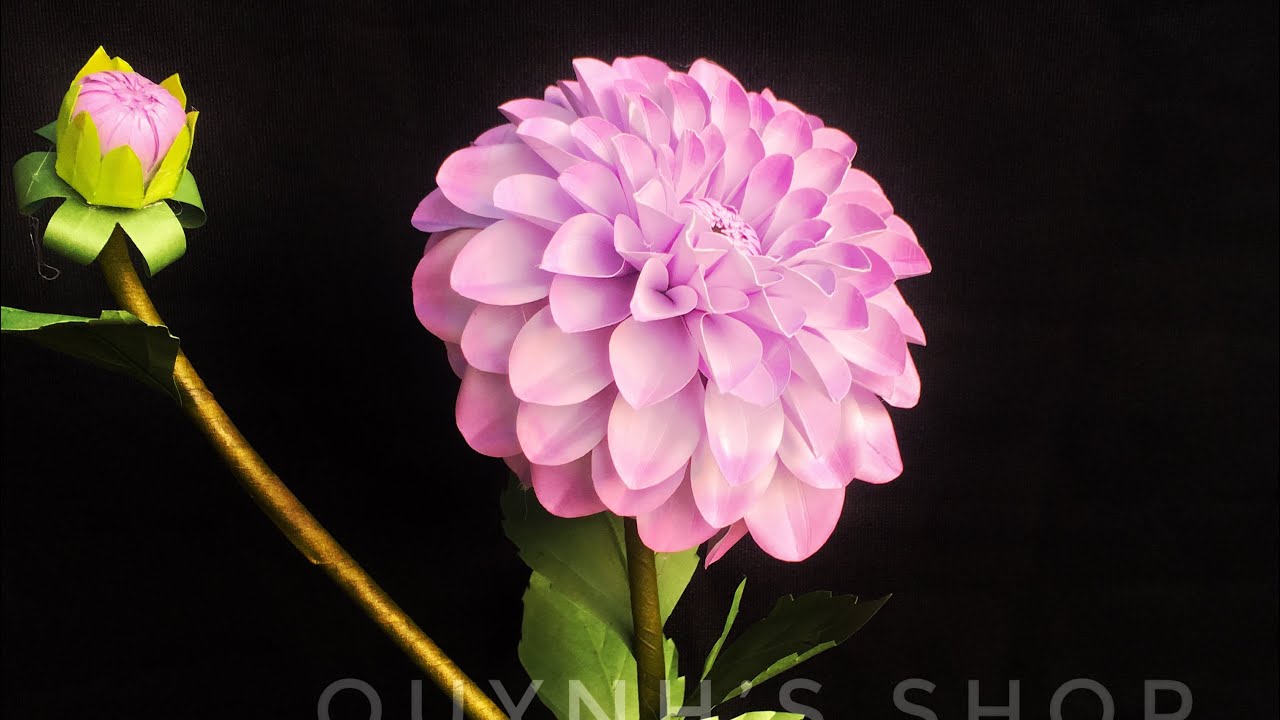 How to make dahlia from art paper- Cách làm hoa thược dược bằng giấy mỹ thuật bản cắt tay hoàn toàn