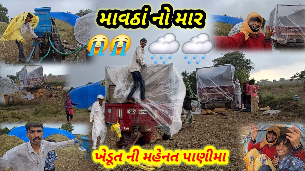 માવઠાં નો માર ખેડૂત ની મહેનત પાણીમા || village life 