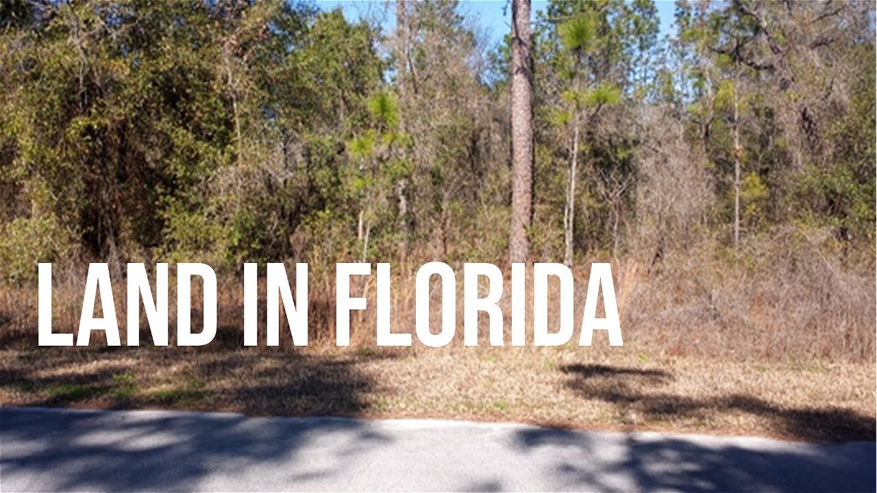 Florida Land for Sale | No Credit Check!