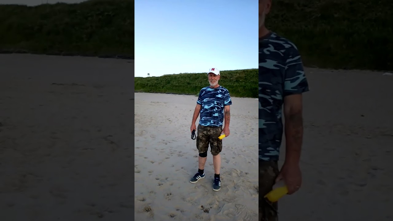 Exercising Dog At Beach,She Loved The Freedom 