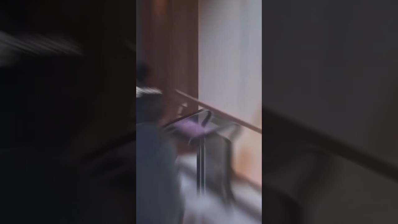 Ван Дама в Hitman 3 