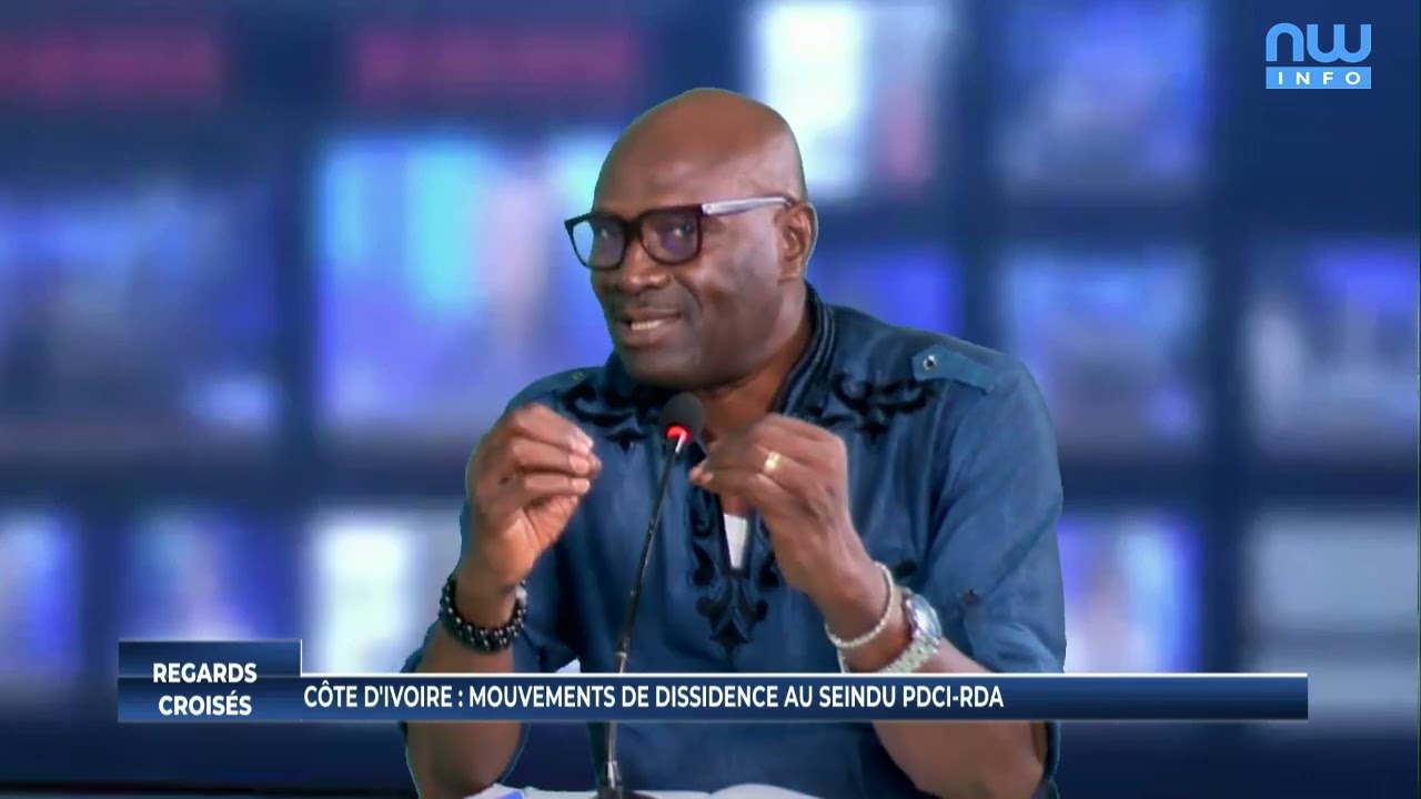Côte d'Ivoire : mouvements de dissidence au sein du PDCI-RDA