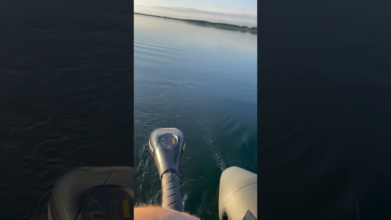 Minn Kota Endura C2 34 Lb Trolling speed switch #fishing #minnkota
