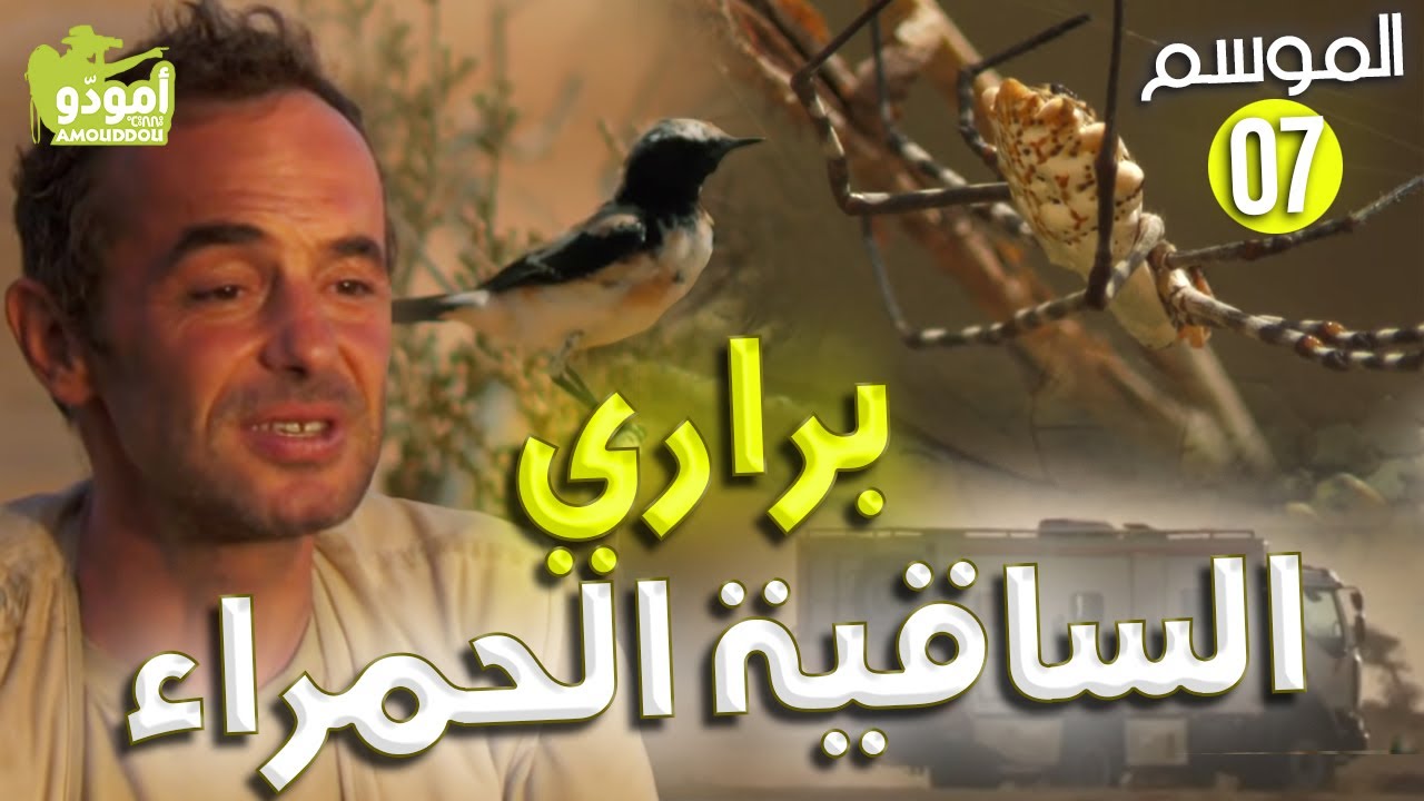 AmouddouTV 109 la faune de la seguia el hamra (1re partie) أمودو /  براري الساقية الحمراء