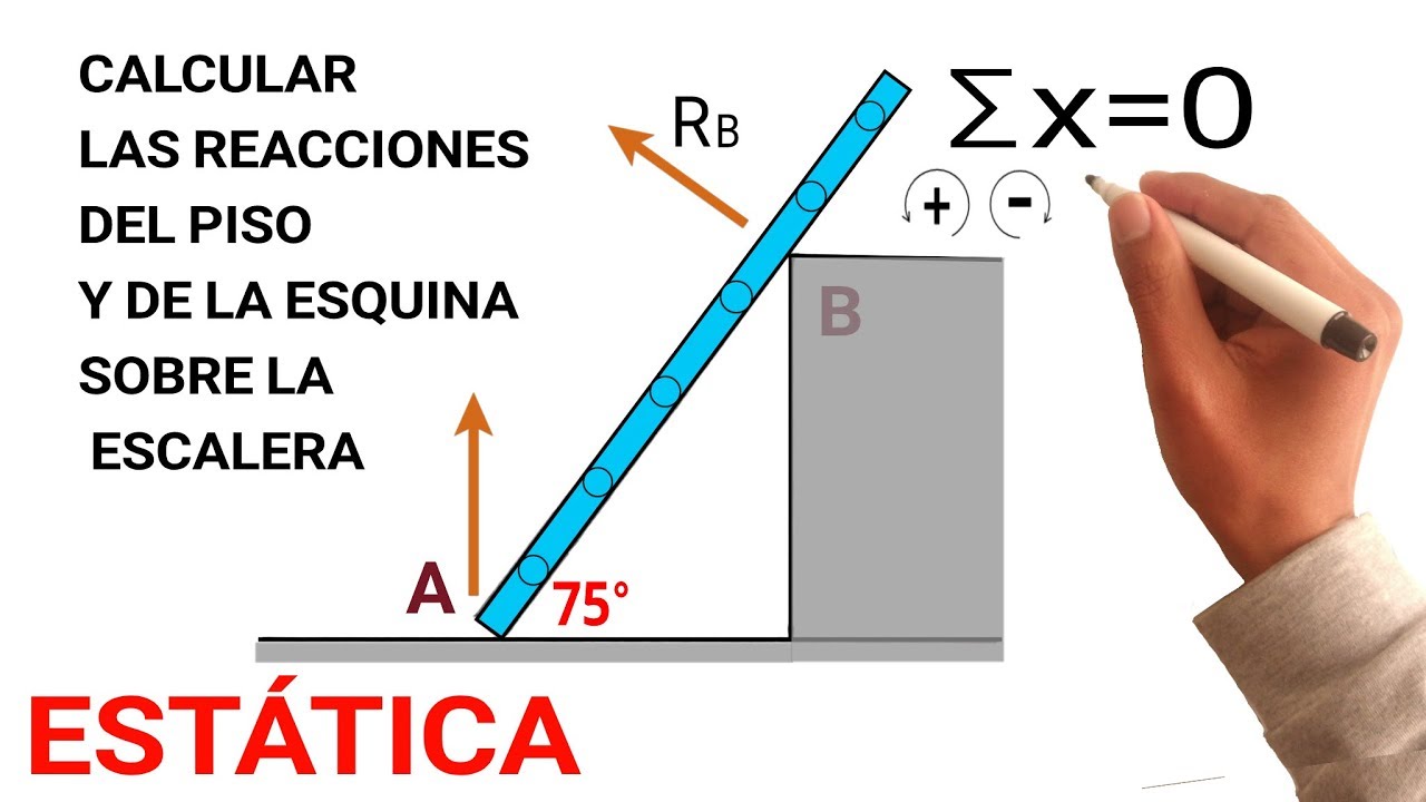 ✅ FISICA ESTATICA y APLICACION DE LA TERCERA LEY DE NEWTON (Las Fuerzas de Reacción en la Escalera)