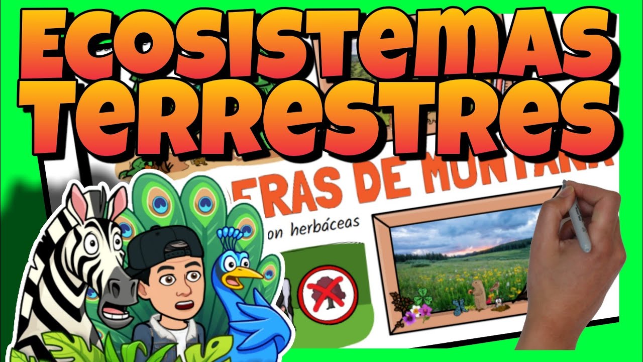 🌳 Los ECOSISTEMAS TERRESTRES para NIÑOS