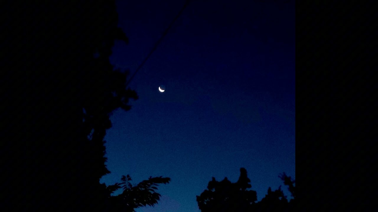 loonline.way - falling stars.way