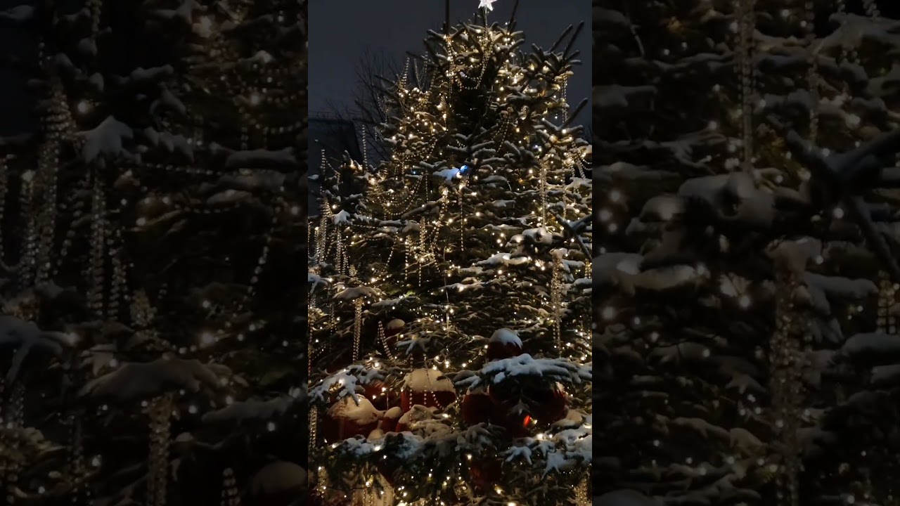 New Year 2026🎄😍🎅