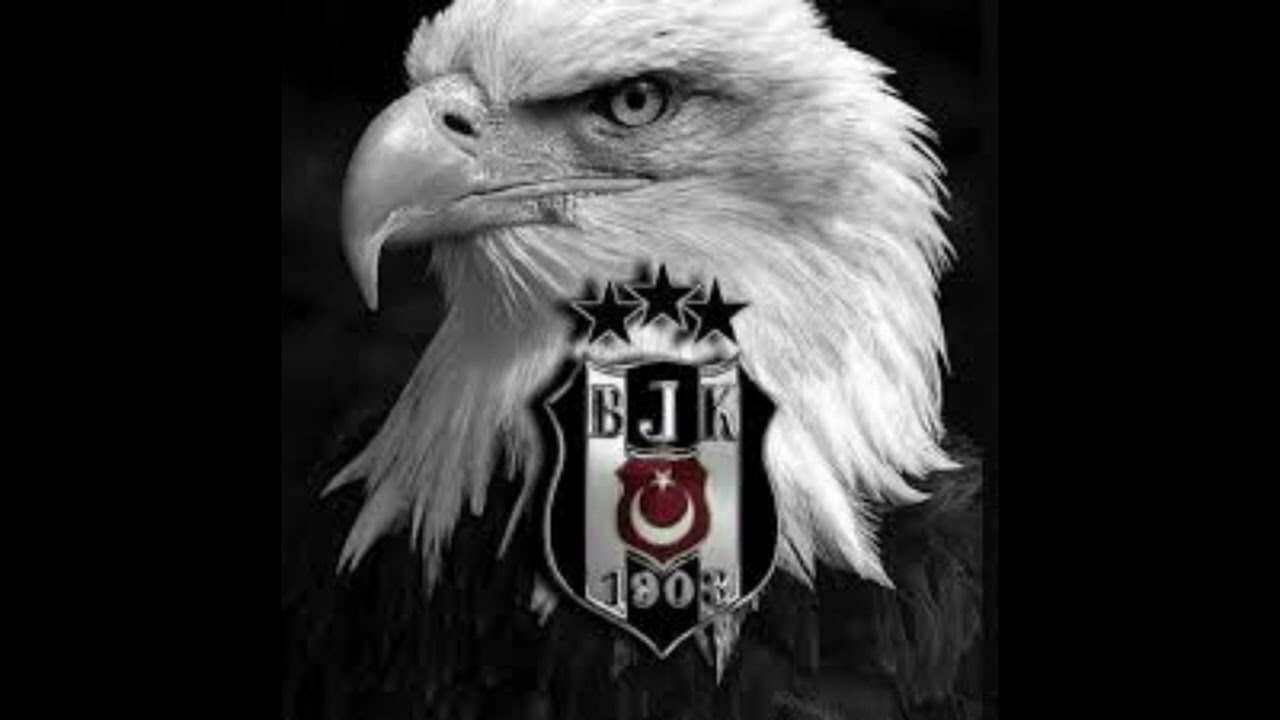 BEŞİKTAŞ MARŞI AETHRAMUSİC #beşiktaş #Beşiktaş #kartalbeşiktaş #beşiktaşsondakika #çarşıbeşiktaş