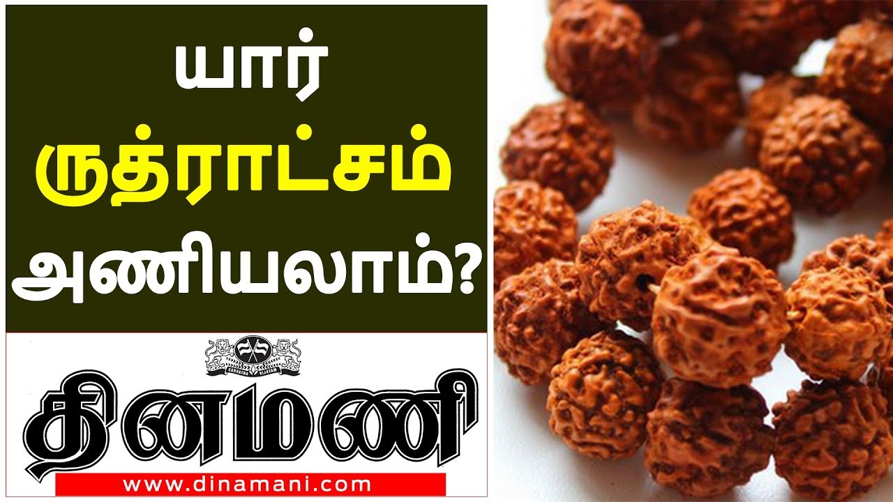 எந்த ராசிக்கு என்ன முகம் ருத்ராட்சம் அணியலாம்? Know about  Rudraksha