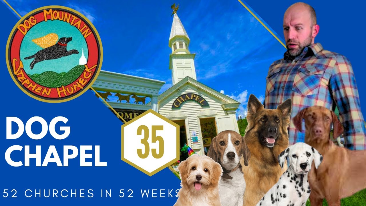 🐶 There's a Church for DOGS