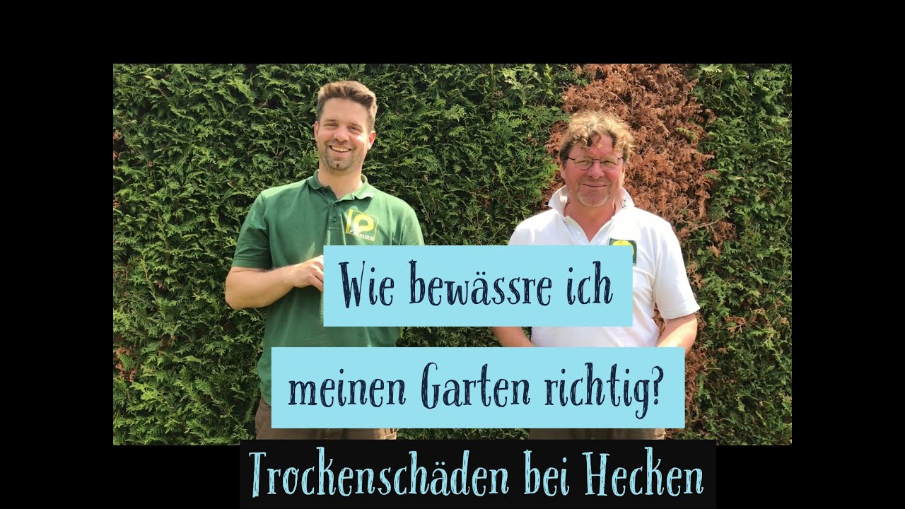 Wie bewässre ich meinen Garten richtig?