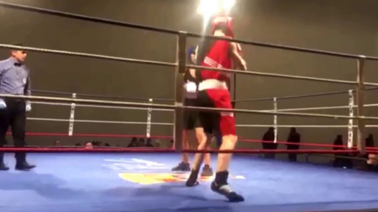 Combat boxe anglaise catégorie - 69 kilos sénior