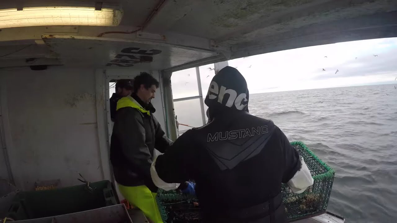 Lobster Fishing Nova Scotia 
