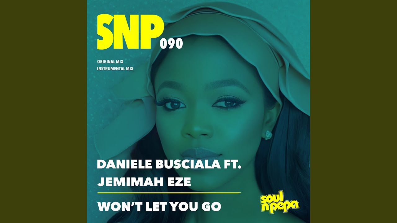 Won't Let You Go (Original Mix)