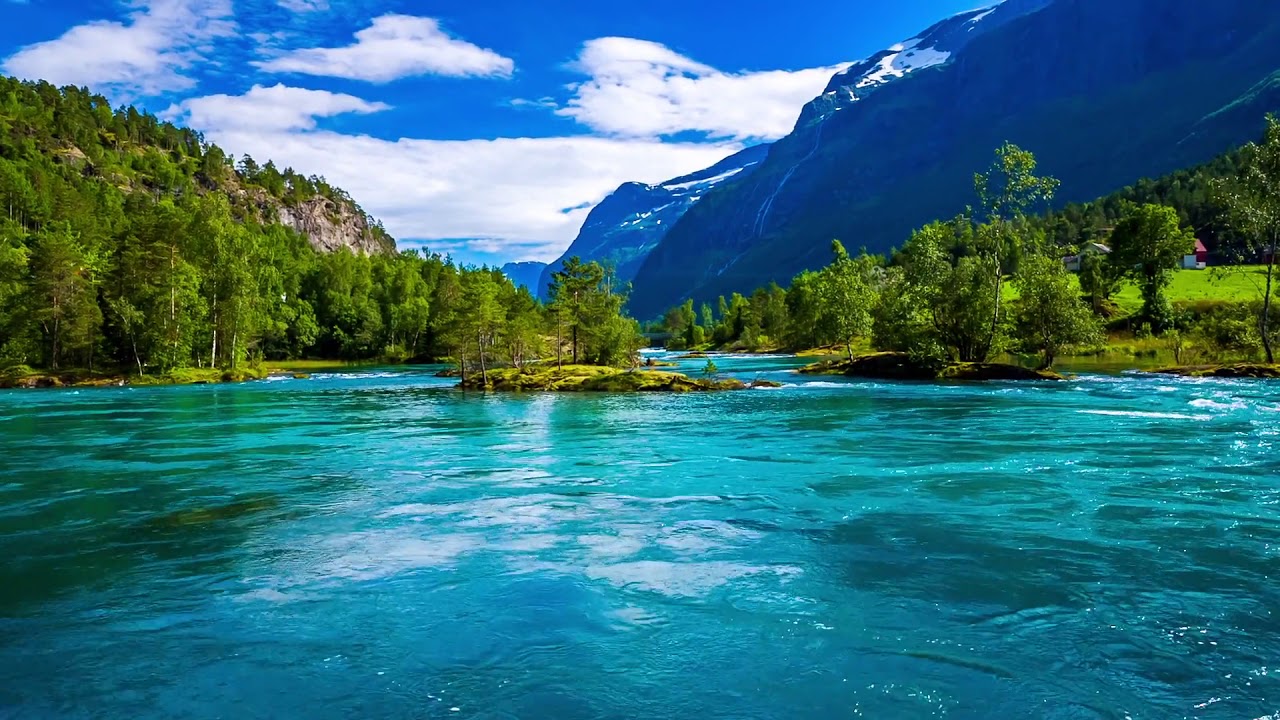 Norvy mountains lake and beutiful Trees #free stock footage