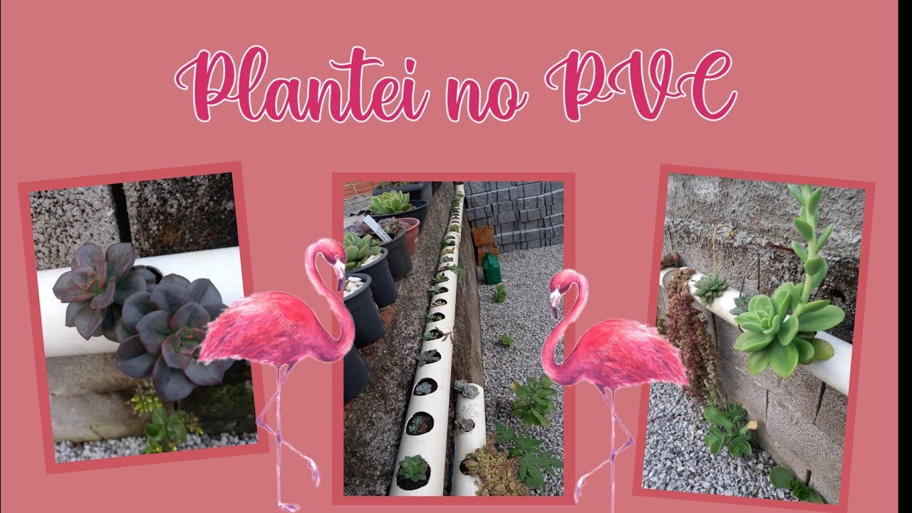 #Suculentas em cano P.V.C #como fazer(passoa passo)