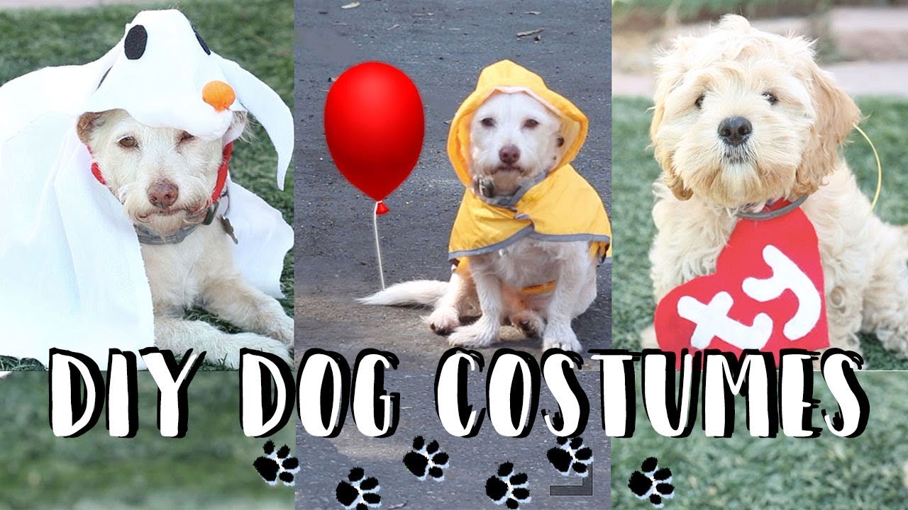 Костюмы для собак на Хэллоуин своими руками | Zero, IT Georgie, TY Beanie Babies 👻🎈🐶