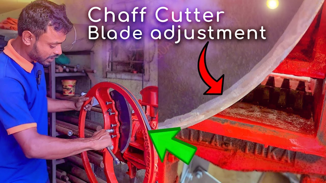 How to adjust Chaff Cutter Blade - চাফ কাটার ব্লেডকে কীভাবে অ্যাডজাস্টমেন্ট করা হয় । apanjohn2023