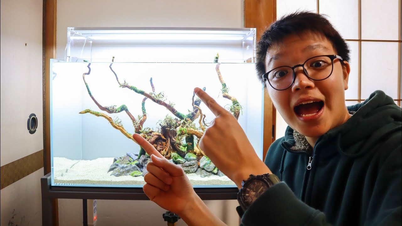 Setting Up My First Planted Aquascaped Aquarium!!
