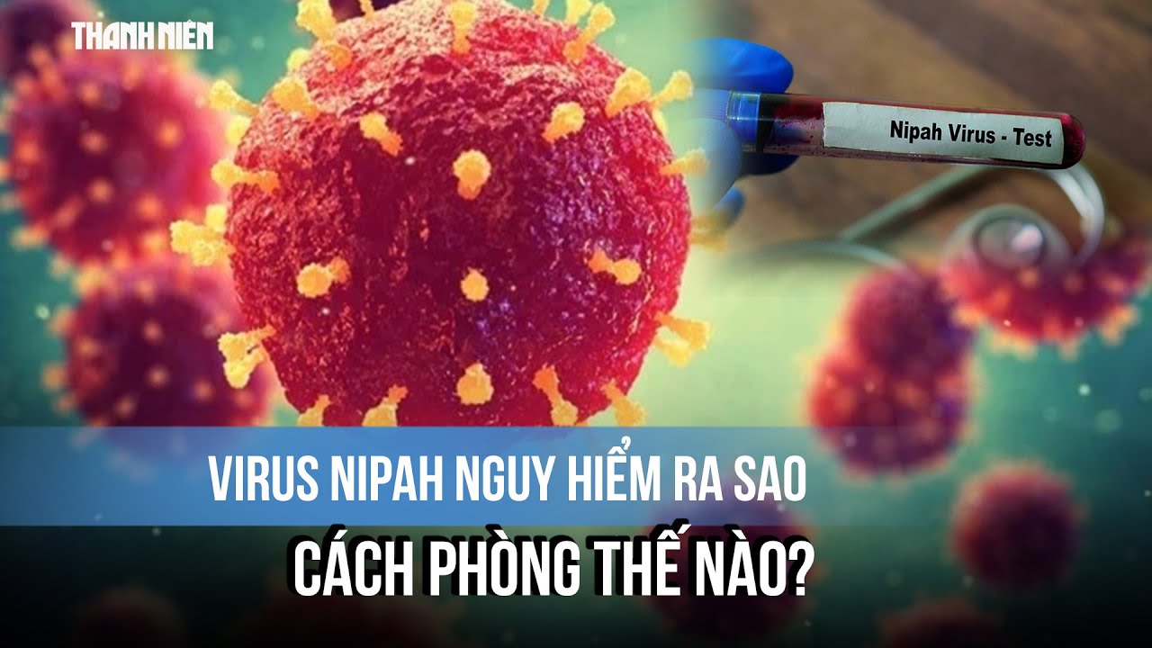 Virus Nipah nguy hiểm ra sao, cách phòng thế nào?
