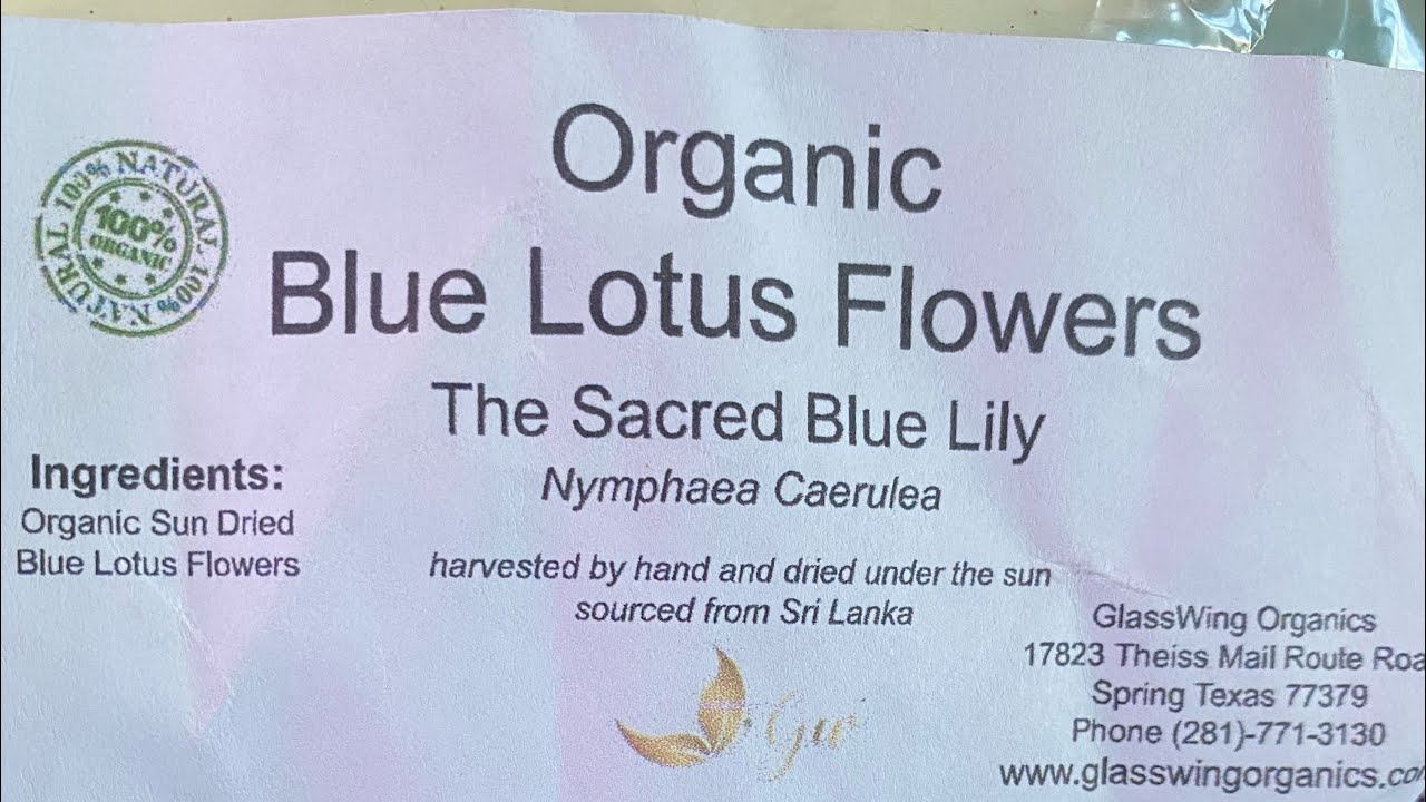 Smoking Blue Lotus : My thoughts