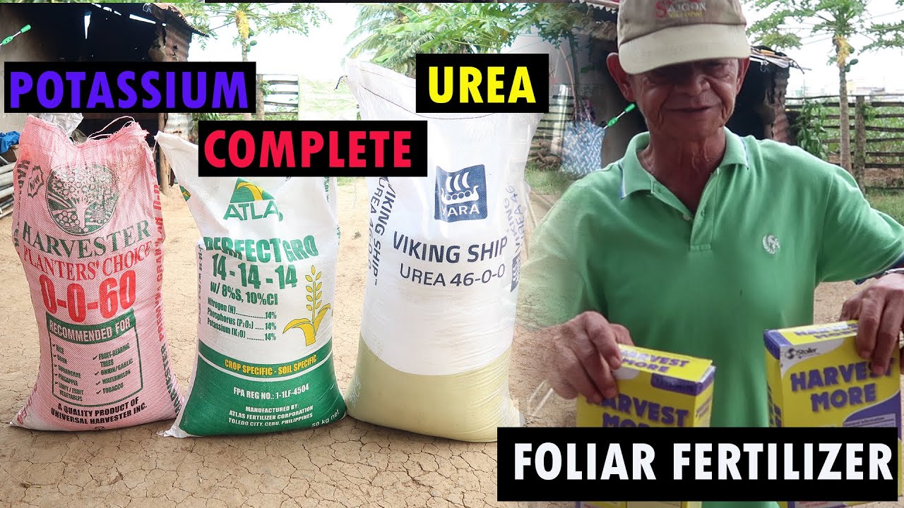 Ep14 -   Ibat ibang uri ng fertilizer at paano gamitin ito?
