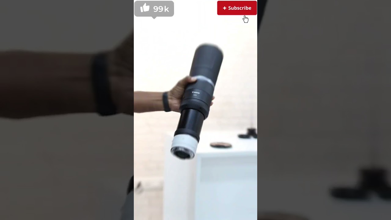 Canon RF 800mm with RF 2X extender #viral #canon #tranding #shortfeed #vlog #russia #asia #wildlife