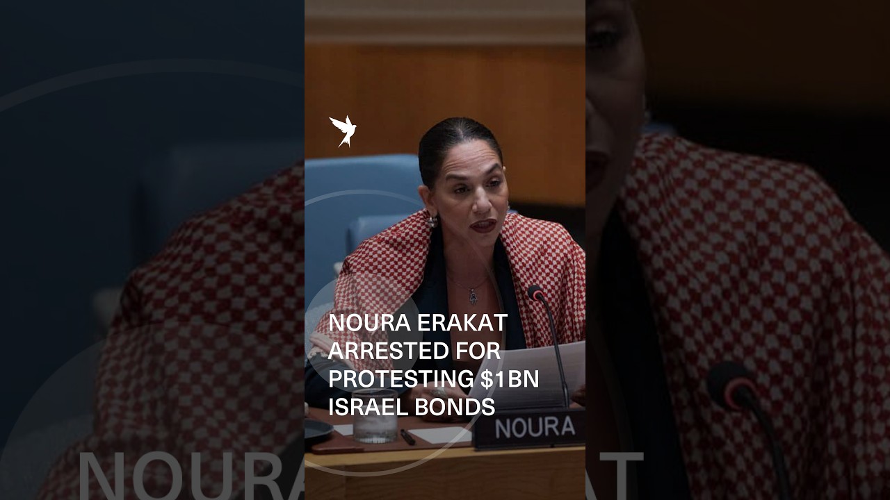Noura Erakat arrested at hearing over $1bn Israel Bonds investment