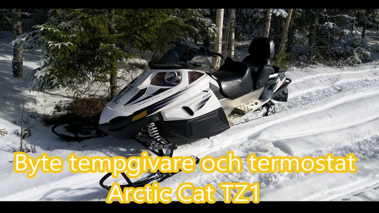 Arctic Cat TZ1