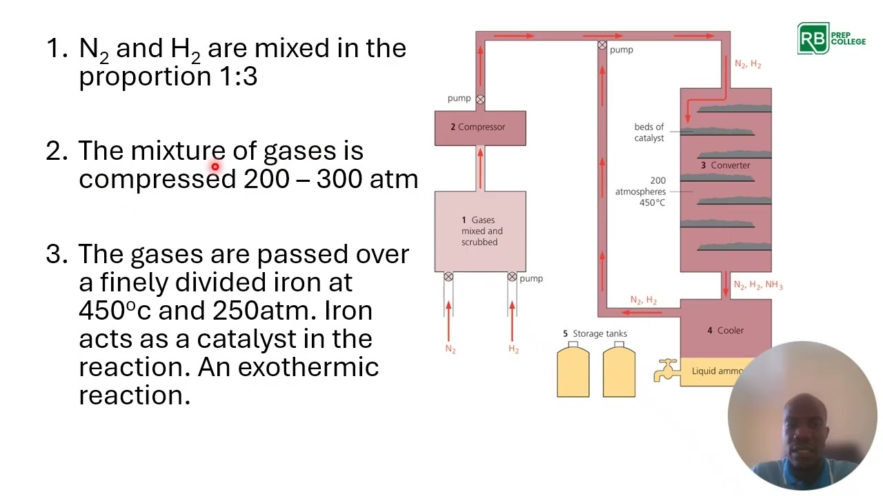 The Haber Process (MSCE Chemistry)