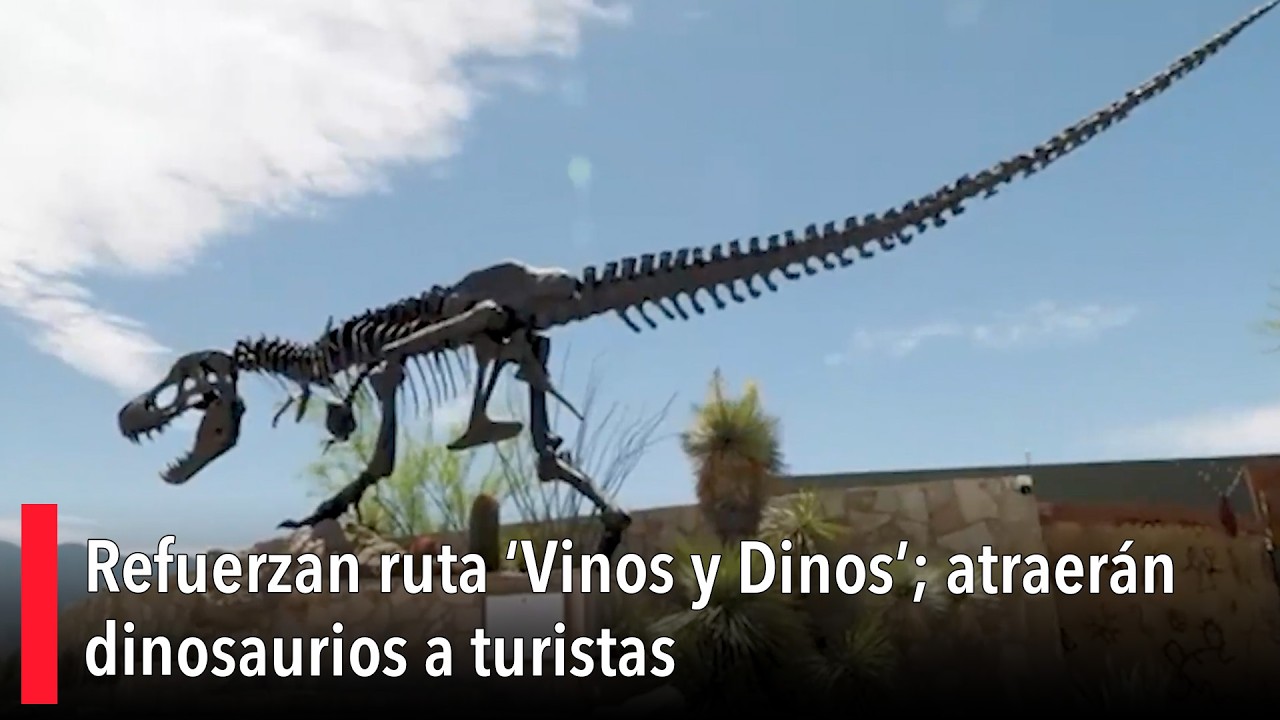 Refuerzan ruta ‘Vinos y Dinos’; atraerán dinosaurios a turistas