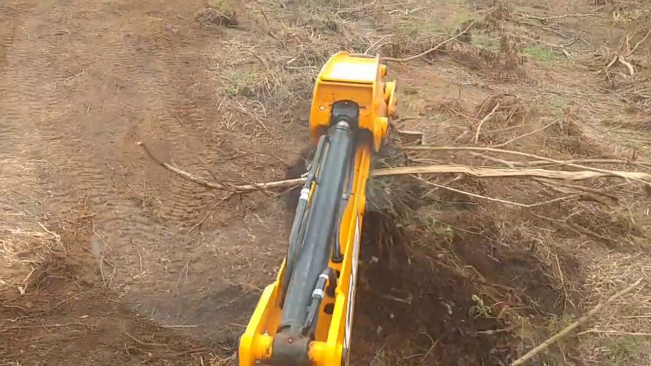 Retroescavadeira JCB, em limpeza de terreno.