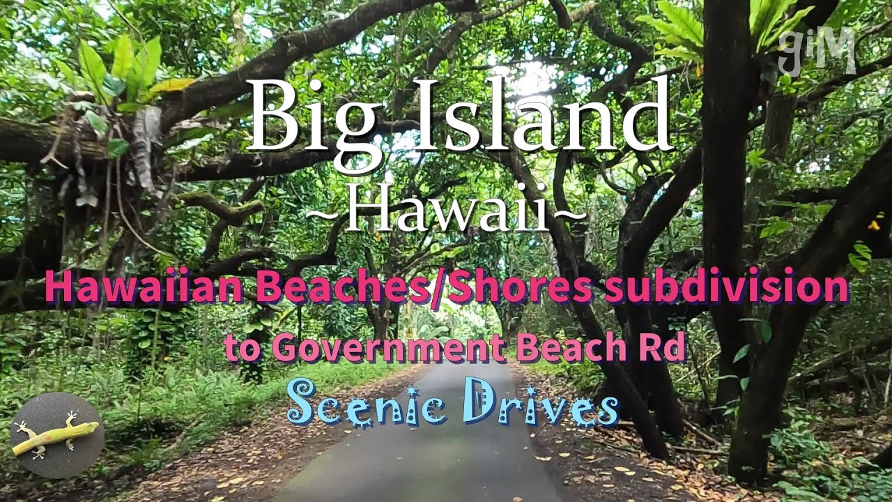 Hawaiian Beaches/Shores (subdivision), Pahoa to Government Beach Rd - Hawaii, Big Island (Houses)