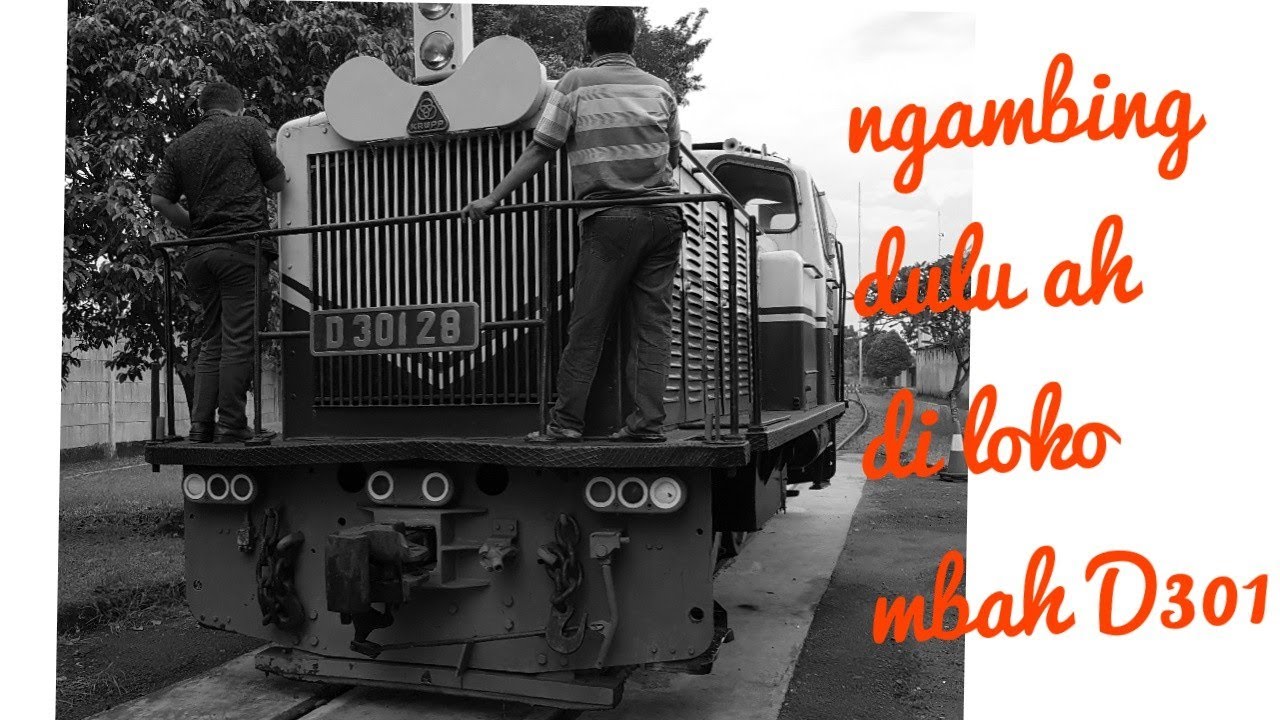 Ngebuburit Ngambing di loko #keramat mbah #D 301 28