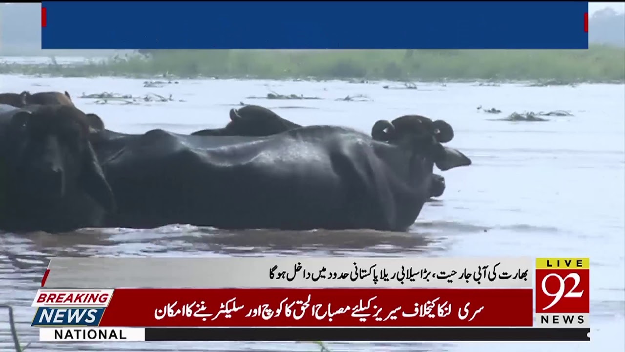 Sutlej River threatens to overflow its banks | 21 August 2019 | 92NewsHD