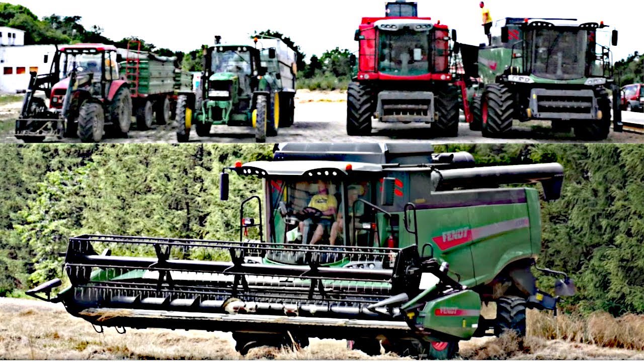 Żniwa Trawki 2019 na 2 kombajny | Fendt | Massey Ferguson | Belarus | John Deere |