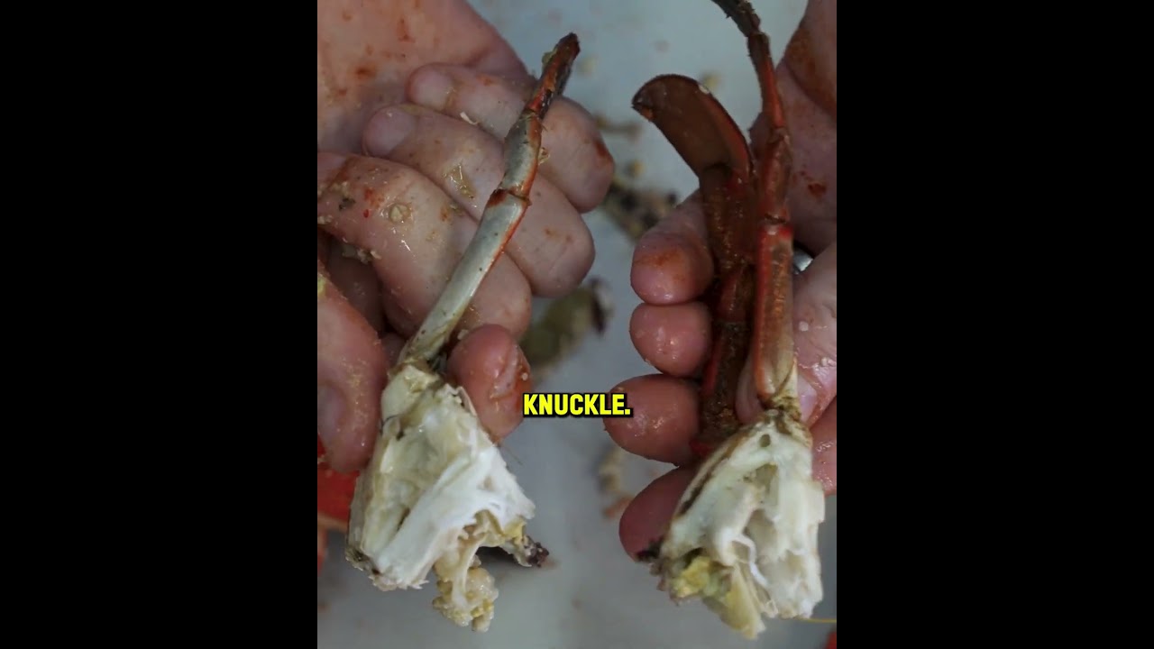 How to Pick Blue Crabs Like a Pro 🦀 | Step-by-Step Crab Eating Tutorial