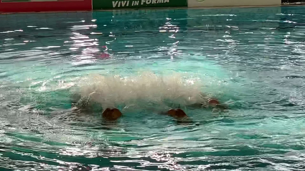 Nuoto Sincronizzato - assoluto Riccione 2020 - squadra tecnica Syncromed Muri Antichi