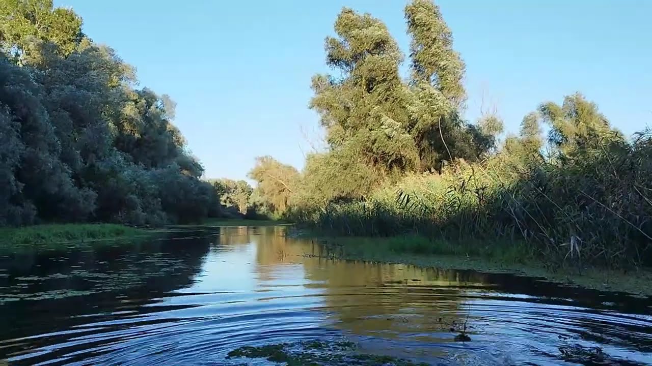 Delta Dunarii este minunata? Convingeti-va...