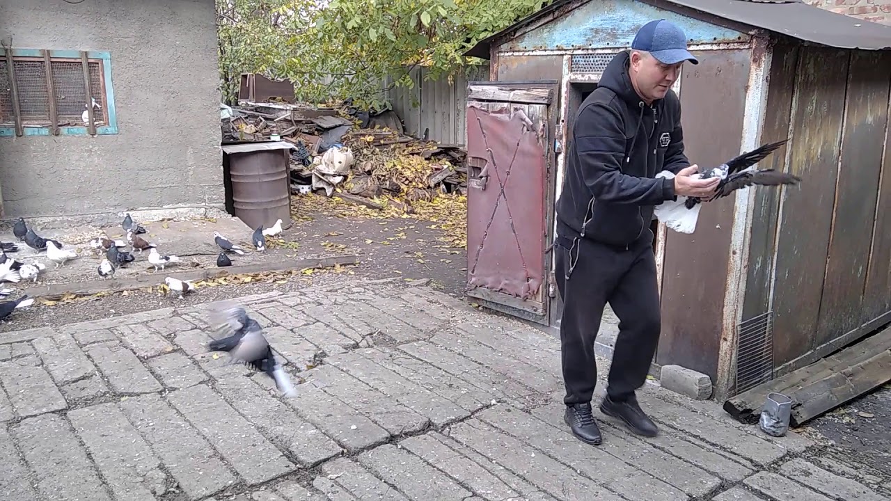 В гостях у старых друзей (Саша Абрамов)