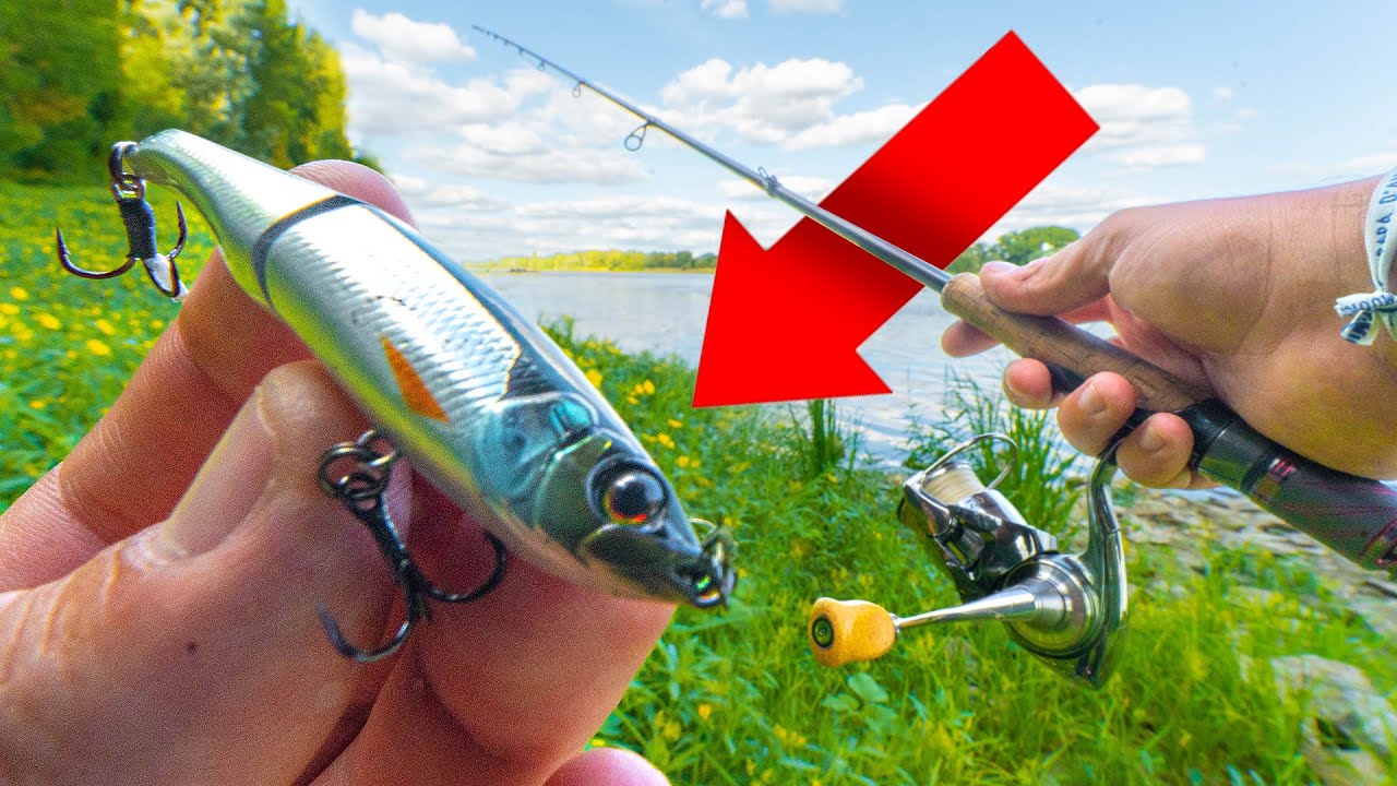 Ce qui se passe en Loire est SURPRENANT! J’y pêche avec des leurres TRÈS IMITATIFS !