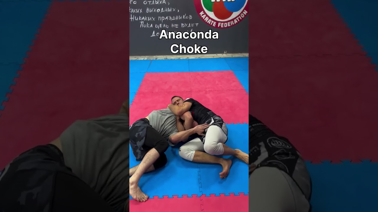 #bjj