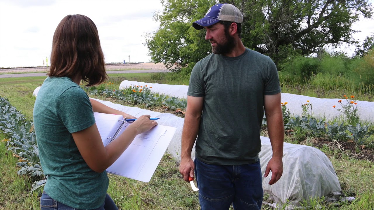 Organic Control of Cabbage Pests with Ross and Amber Lockhart