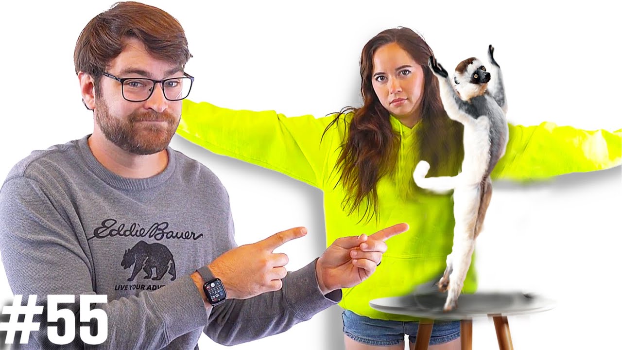 Do These Animals Party Harder Than You...?