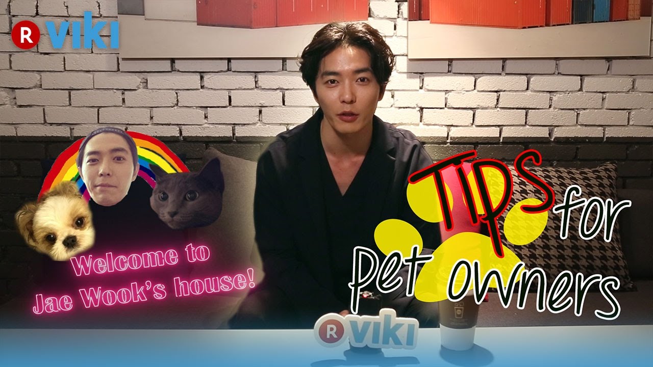Kim Jae Wook on Tips For Pet Owners | Viki Exclusive Interview [Eng Sub]