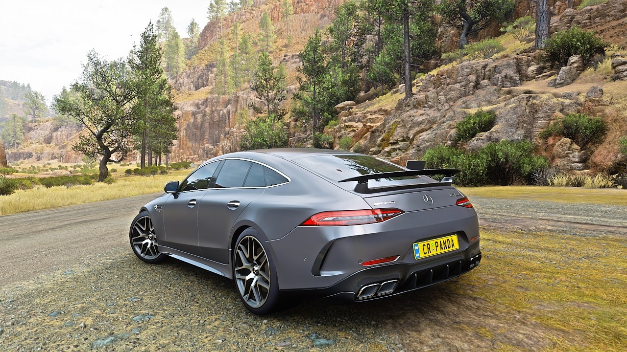 Mercedes - AMG GT 63 S 4-Door Coupe - Forza Horizon 5 | Thrustmaster TMX Gameplay